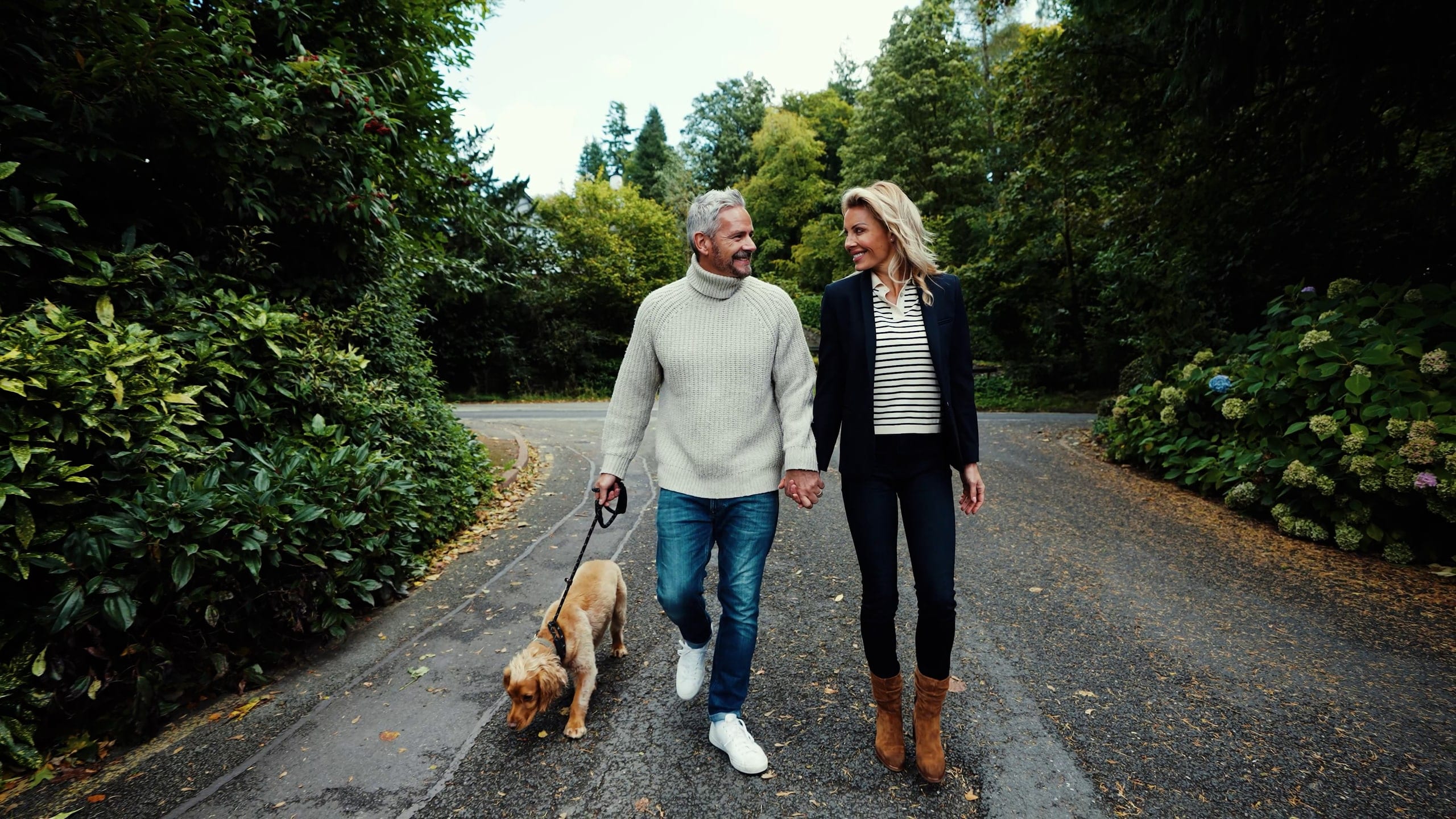 A couple walking a dog down a hedged country lane