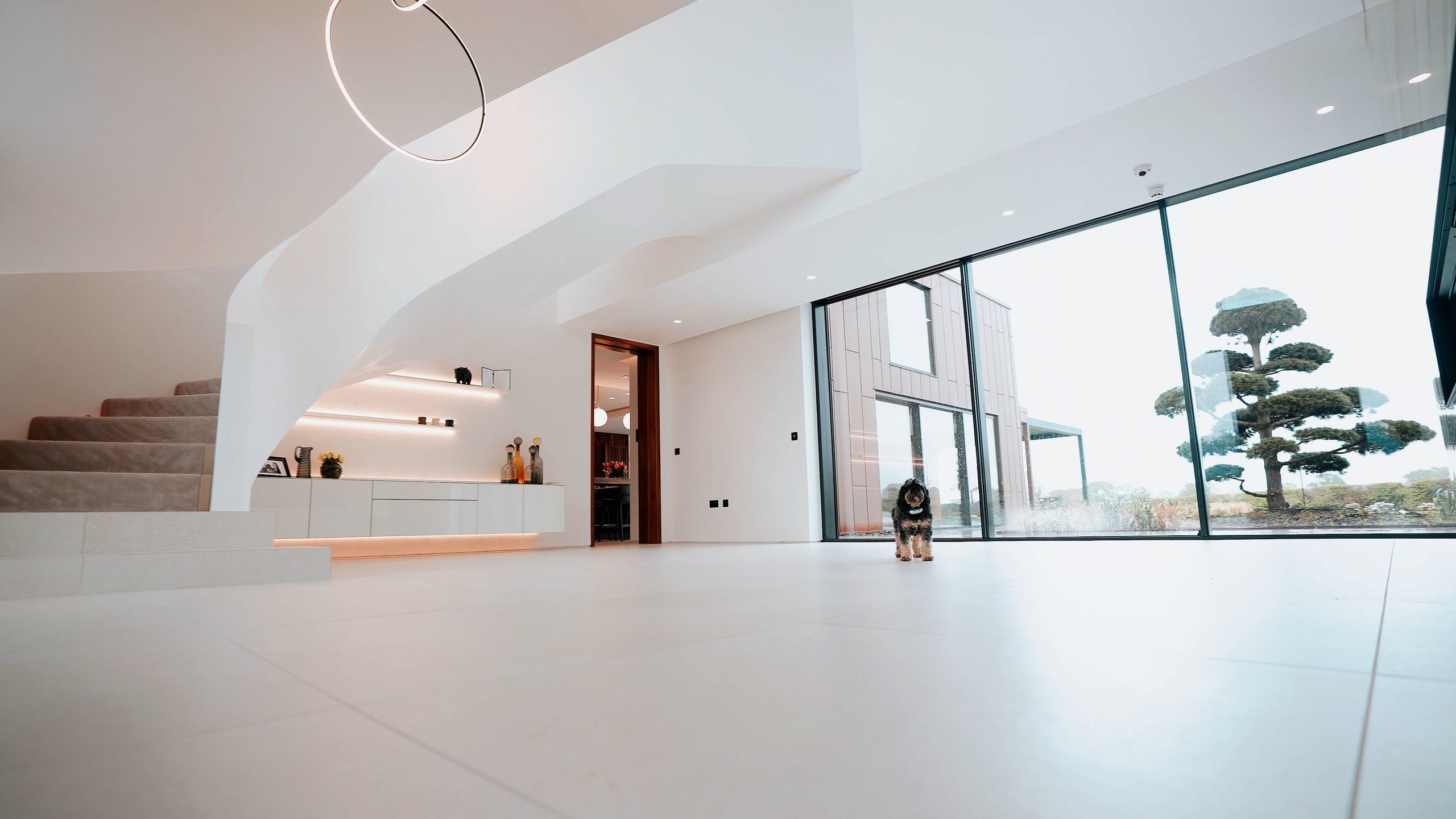 A white architectural interior with a curved soffit, a ring pendant and full height glazing onto a clipped garden tree
